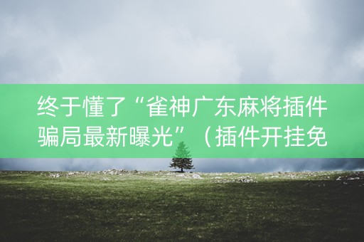 终于懂了“雀神广东麻将插件骗局最新曝光”（插件开挂免费AI)