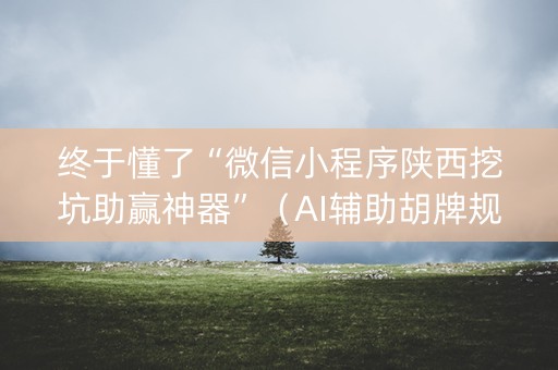 终于懂了“微信小程序陕西挖坑助赢神器”（AI辅助胡牌规则)