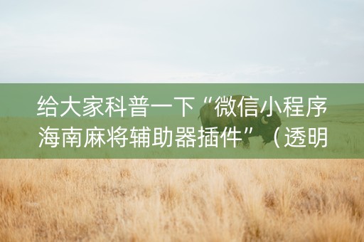 给大家科普一下“微信小程序海南麻将辅助器插件”（透明挂辅助器)