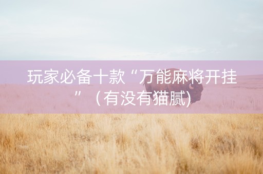 玩家必备十款“万能麻将开挂”（有没有猫腻)