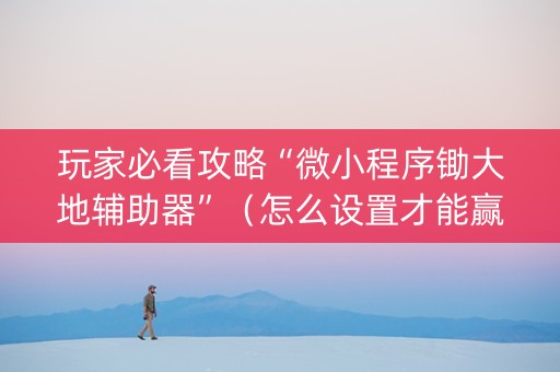 玩家必看攻略“微小程序锄大地辅助器”（怎么设置才能赢)