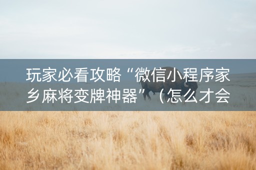 玩家必看攻略“微信小程序家乡麻将变牌神器”（怎么才会赢)