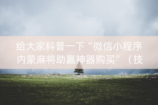 给大家科普一下“微信小程序内蒙麻将助赢神器购买”（技巧和打好牌方法)