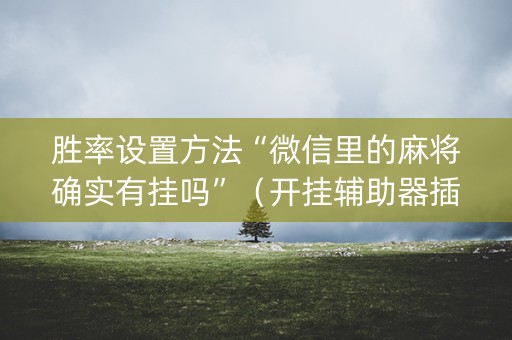 胜率设置方法“微信里的麻将确实有挂吗”（开挂辅助器插件)
