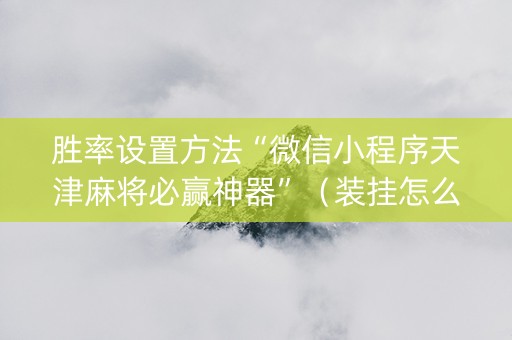 胜率设置方法“微信小程序天津麻将必赢神器”（装挂怎么安装)