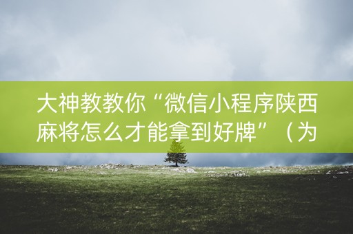 大神教教你“微信小程序陕西麻将怎么才能拿到好牌”（为什么有人一直赢)