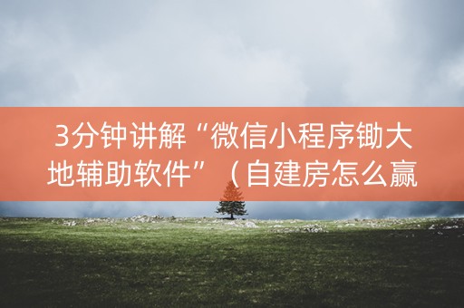 3分钟讲解“微信小程序锄大地辅助软件”（自建房怎么赢)
