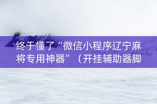 终于懂了“微信小程序辽宁麻将专用神器”（开挂辅助器脚本)