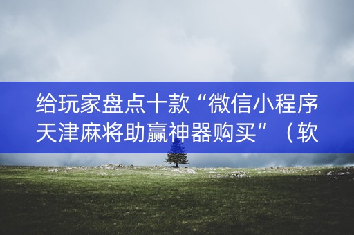 给玩家盘点十款“微信小程序天津麻将助赢神器购买”（软件出售)