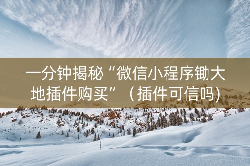 一分钟揭秘“微信小程序锄大地插件购买”（插件可信吗)