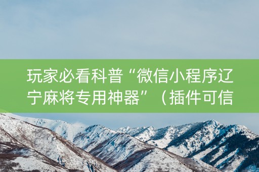 玩家必看科普“微信小程序辽宁麻将专用神器”（插件可信吗)