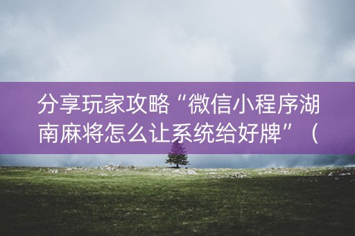 分享玩家攻略“微信小程序湖南麻将怎么让系统给好牌”（开挂神器下载)