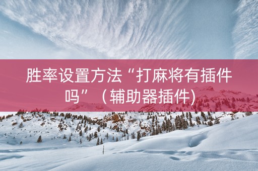 胜率设置方法“打麻将有插件吗”（辅助器插件)