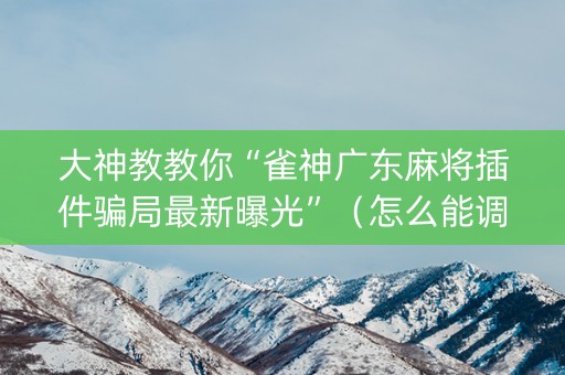 大神教教你“雀神广东麻将插件骗局最新曝光”（怎么能调好牌)