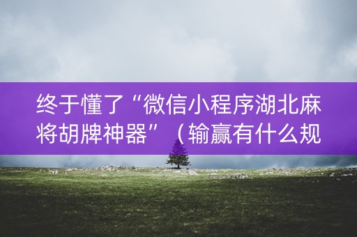 终于懂了“微信小程序湖北麻将胡牌神器”（输赢有什么规律)