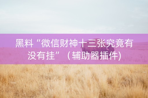 黑料“微信财神十三张究竟有没有挂”（辅助器插件)