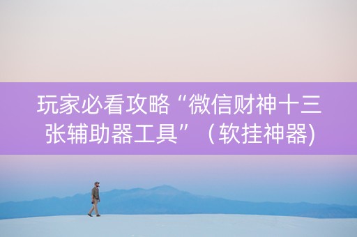 玩家必看攻略“微信财神十三张辅助器工具”（软挂神器)