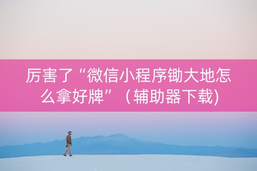厉害了“微信小程序锄大地怎么拿好牌”（辅助器下载)