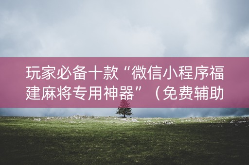 玩家必备十款“微信小程序福建麻将专用神器”（免费辅助)