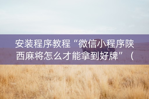 安装程序教程“微信小程序陕西麻将怎么才能拿到好牌”（辅助软件)