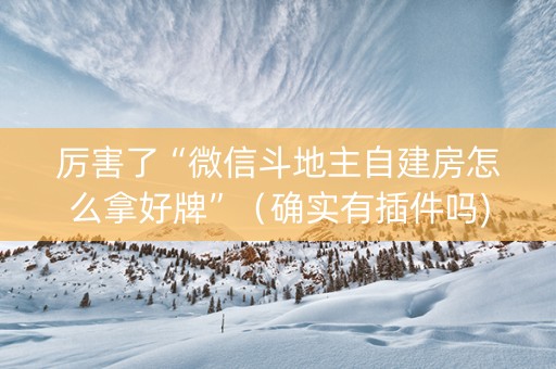 厉害了“微信斗地主自建房怎么拿好牌”（确实有插件吗)