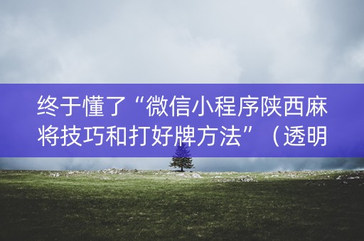 终于懂了“微信小程序陕西麻将技巧和打好牌方法”（透明挂辅助器)