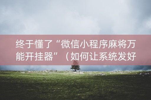 终于懂了“微信小程序麻将万能开挂器”（如何让系统发好牌)