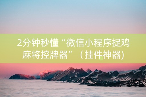 2分钟秒懂“微信小程序捉鸡麻将控牌器”（挂件神器)