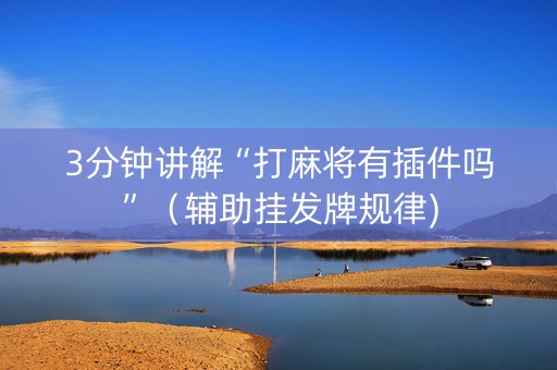 3分钟讲解“打麻将有插件吗”（辅助挂发牌规律)