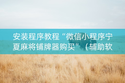 安装程序教程“微信小程序宁夏麻将铺牌器购买”（辅助软件)