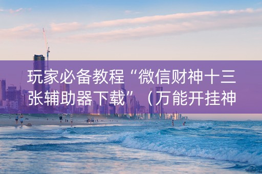玩家必备教程“微信财神十三张辅助器下载”（万能开挂神器)