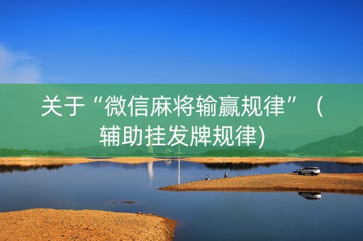 关于“微信麻将输赢规律”（辅助挂发牌规律)