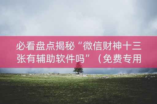 必看盘点揭秘“微信财神十三张有辅助软件吗”（免费专用神器)