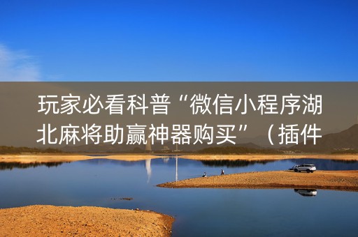 玩家必看科普“微信小程序湖北麻将助赢神器购买”（插件开挂免费AI)