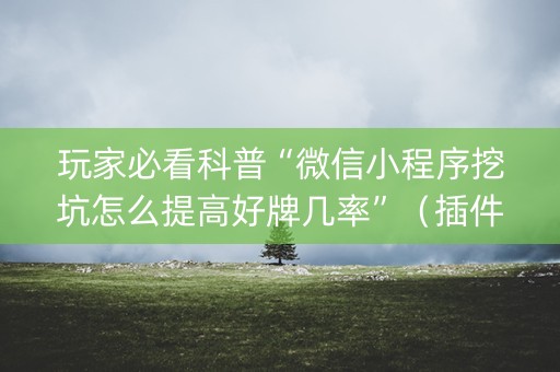 玩家必看科普“微信小程序挖坑怎么提高好牌几率”（插件可信吗)