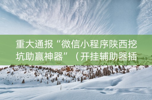 重大通报“微信小程序陕西挖坑助赢神器”（开挂辅助器插件)