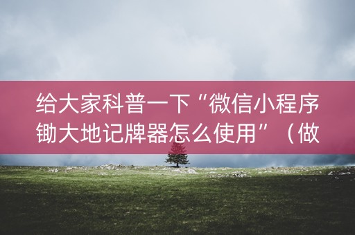 给大家科普一下“微信小程序锄大地记牌器怎么使用”（做弊器软件下载)