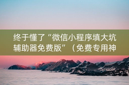 终于懂了“微信小程序填大坑辅助器免费版”（免费专用神器)