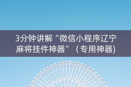 3分钟讲解“微信小程序辽宁麻将挂件神器”（专用神器)