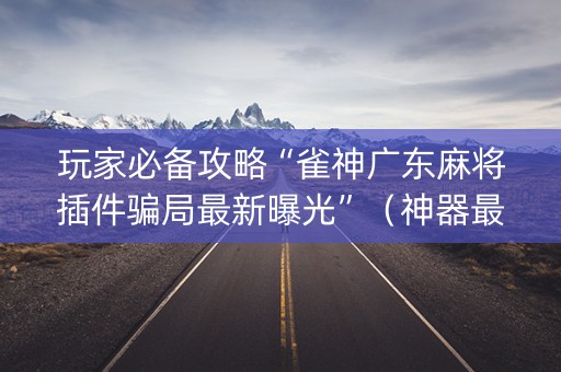 玩家必备攻略“雀神广东麻将插件骗局最新曝光”（神器最新免费)