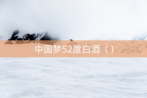 中国梦52度白酒（）