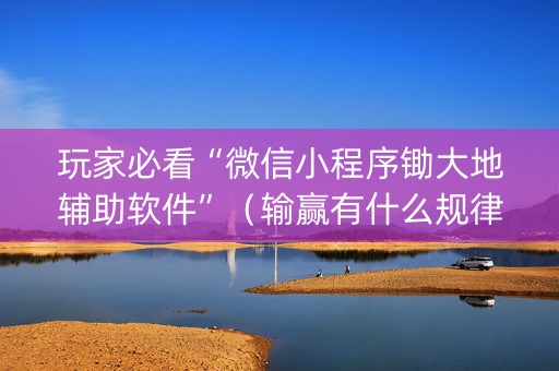 玩家必看“微信小程序锄大地辅助软件”（输赢有什么规律)