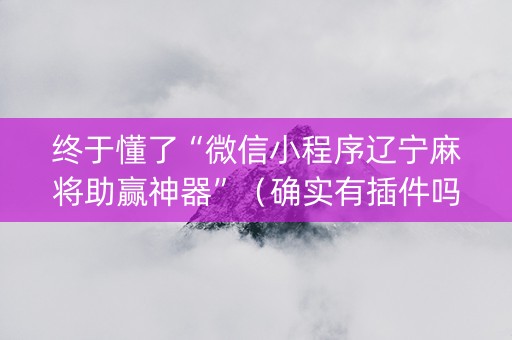 终于懂了“微信小程序辽宁麻将助赢神器”（确实有插件吗)