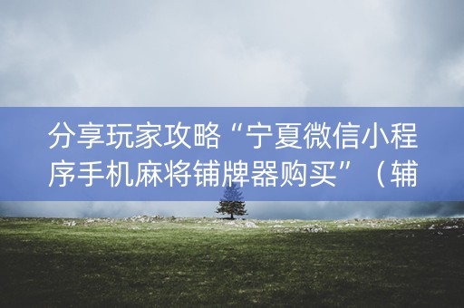 分享玩家攻略“宁夏微信小程序手机麻将铺牌器购买”（辅助器插件)