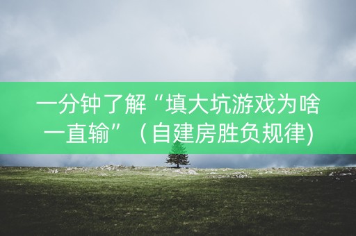 一分钟了解“填大坑游戏为啥一直输”（自建房胜负规律)