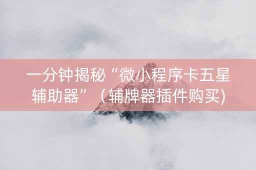 一分钟揭秘“微小程序卡五星辅助器”（辅牌器插件购买)