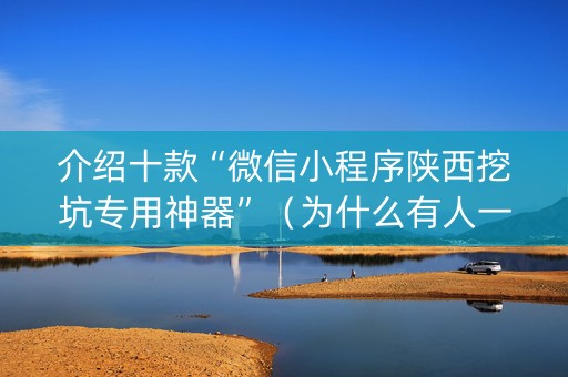 介绍十款“微信小程序陕西挖坑专用神器”（为什么有人一直赢)