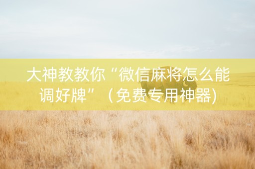 大神教教你“微信麻将怎么能调好牌”（免费专用神器)