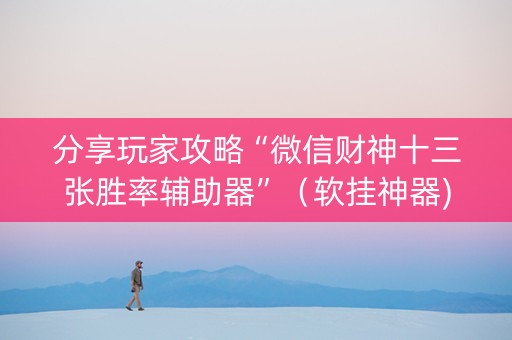 分享玩家攻略“微信财神十三张胜率辅助器”（软挂神器)