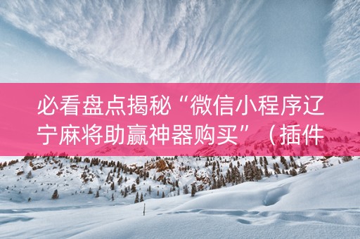 必看盘点揭秘“微信小程序辽宁麻将助赢神器购买”（插件可信吗)